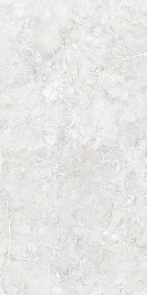 Glossy Finish EBANA-BIANCO GVT 600x1200mm